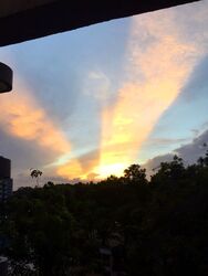 Orchid Park Condominium (D27), Condominium #538704771